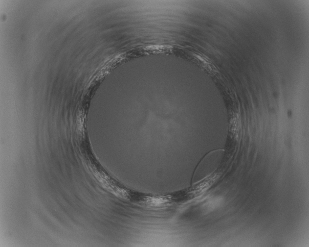 X0000054170662200508101801.png
