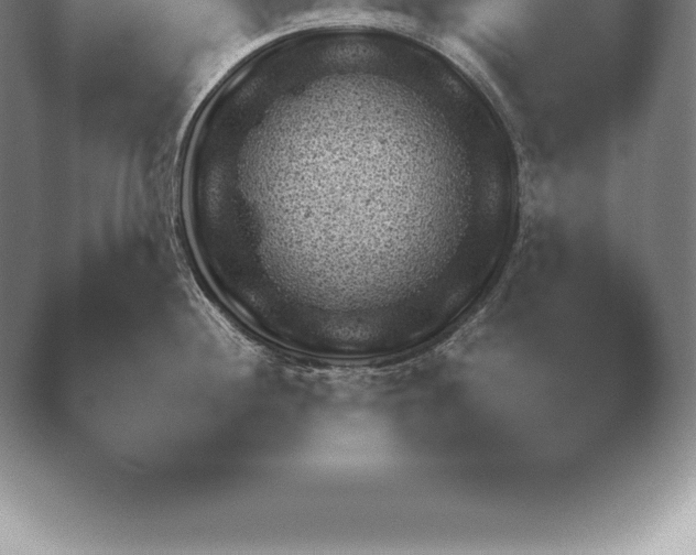 X0000038921244200409290957.png