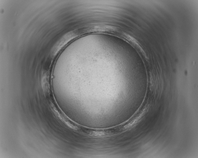X0000054650794200508091640.png