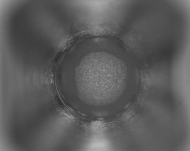 X0000052150766200507051951.png