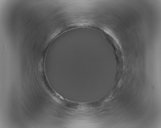 X0000054350105200508190138.png