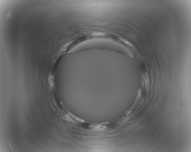 X0000054350621200508190130.png