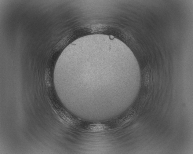 X0000055250316200509071622.png