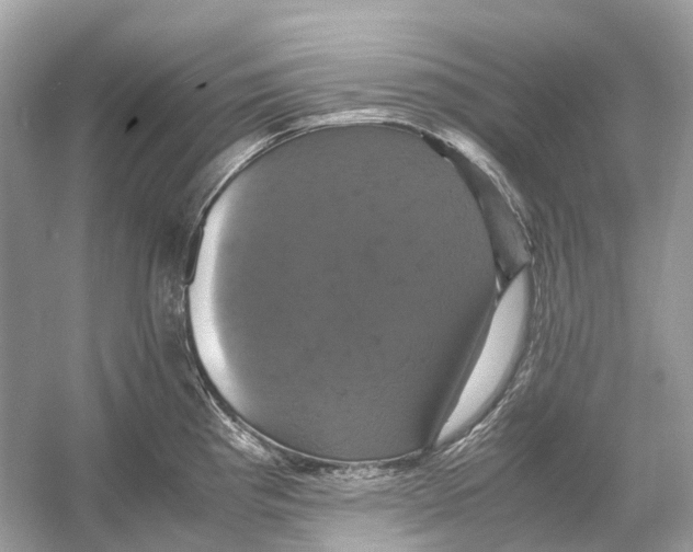 X0000054351193200508190120.png