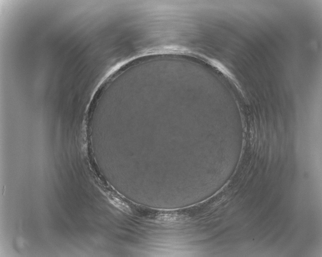 X0000054351364200508190117.png