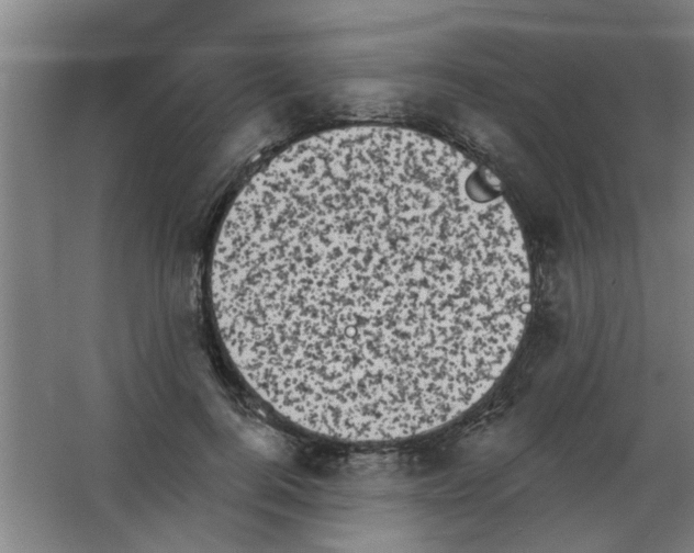 X0000053460744200508112157.png