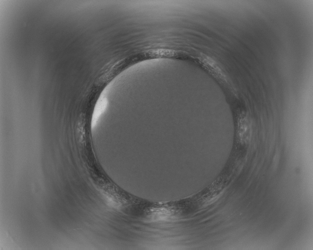 X0000054350259200508190136.png