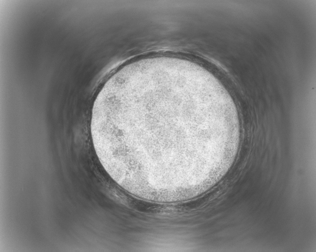 X0000054271359200508261905.png