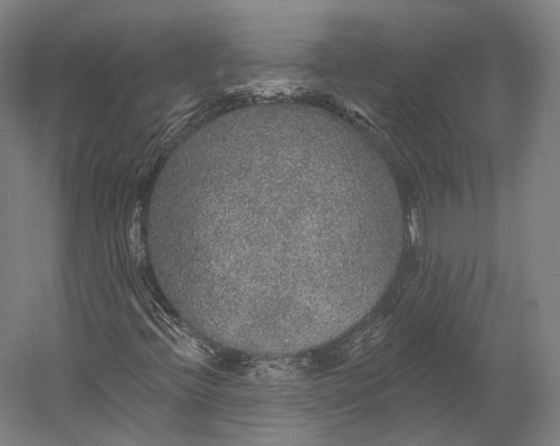 X0000055211396200508301309.png