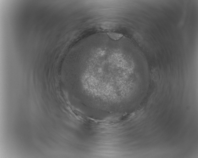 X0000054301009200508042304.png