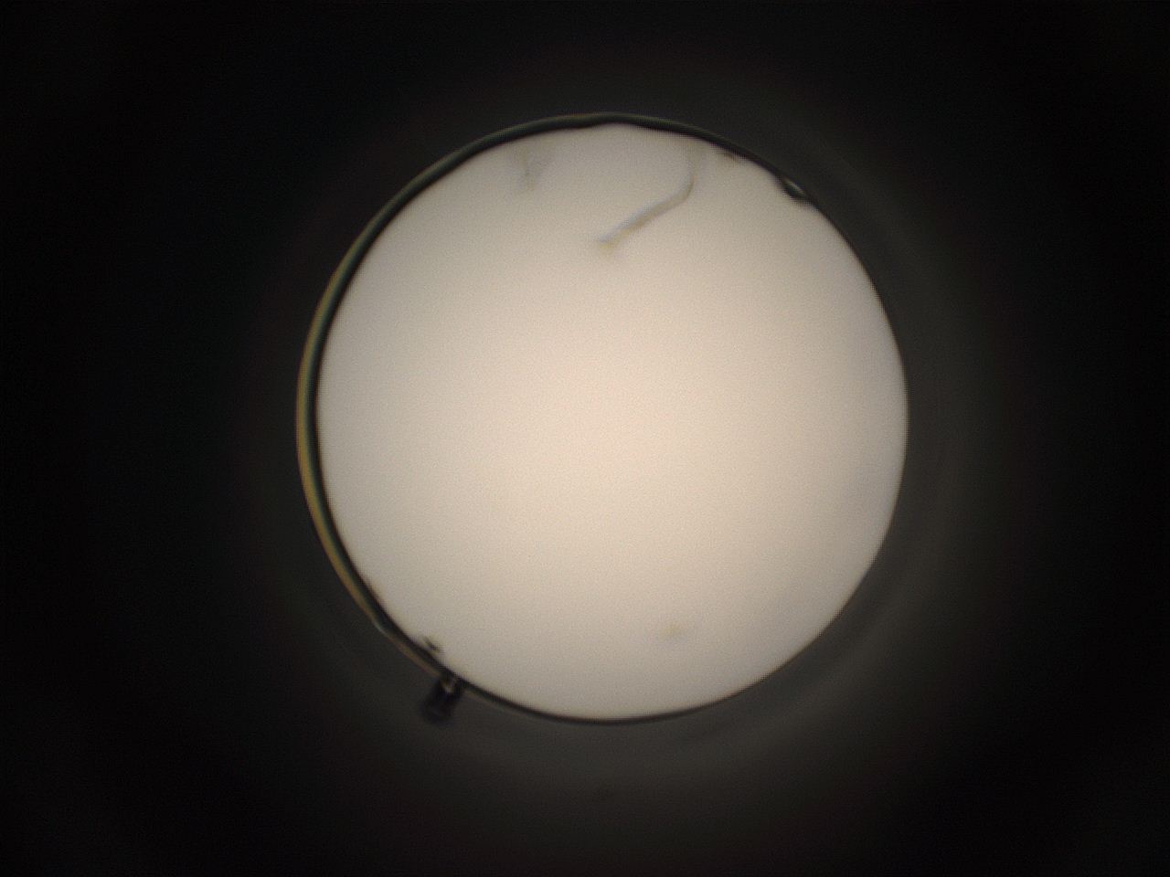 05g4_C4_ImagerDefaults_1.jpg