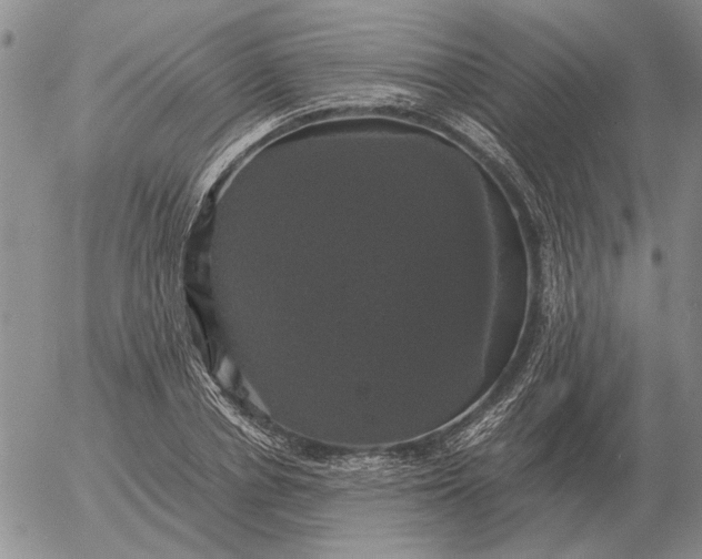 X0000054170834200508101757.png