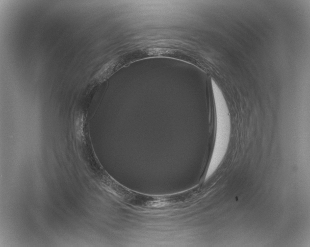 X0000054350219200508190136.png