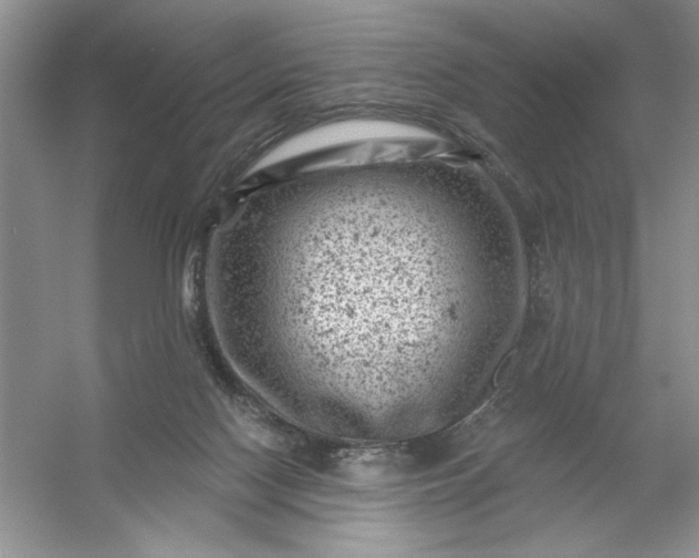X0000054300074200508042321.png