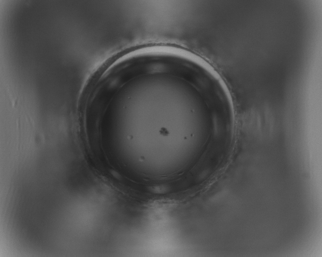 X0000054730248200508171859.png
