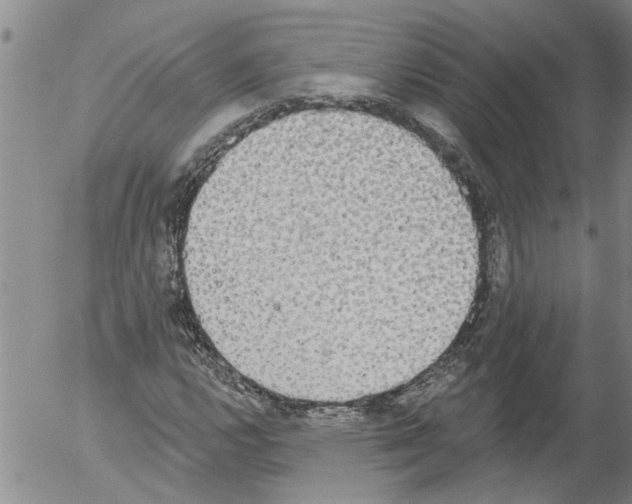 X0000054581112200508300053.png