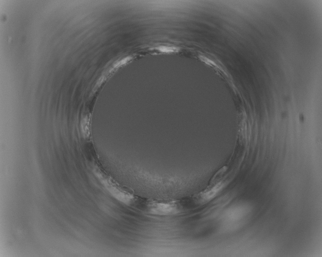X0000054170285200508101807.png