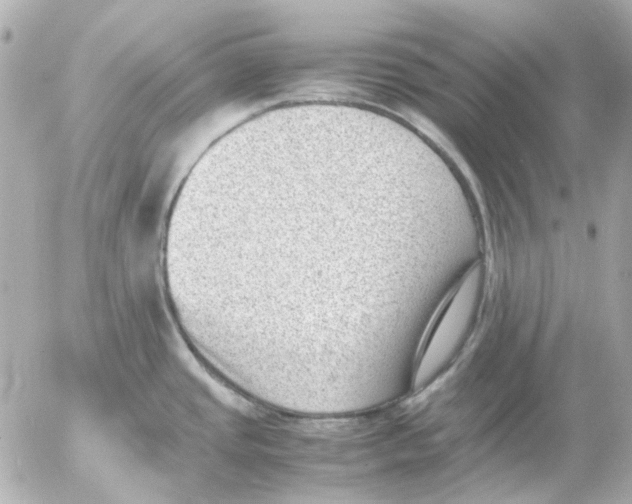 X0000054231437200508171459.png