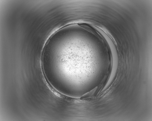 X0000054300813200508042308.png