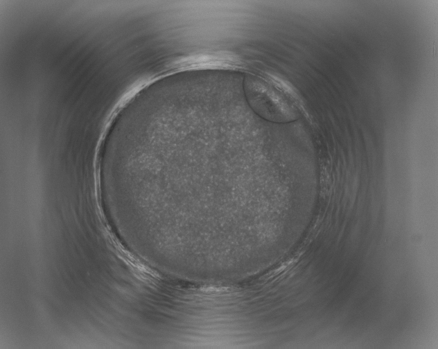 X0000055211419200508301310.png