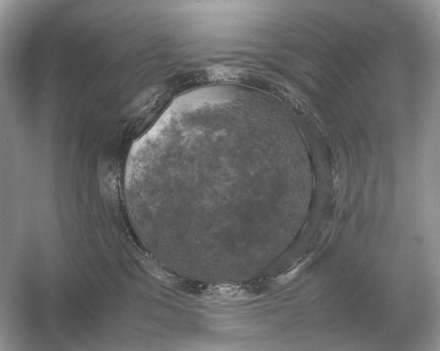 X0000054350329200508190135.png