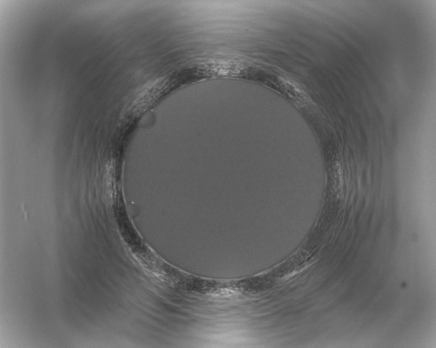 X0000054350594200508190130.png