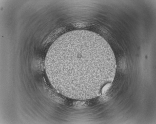 X0000054580180200508300110.png