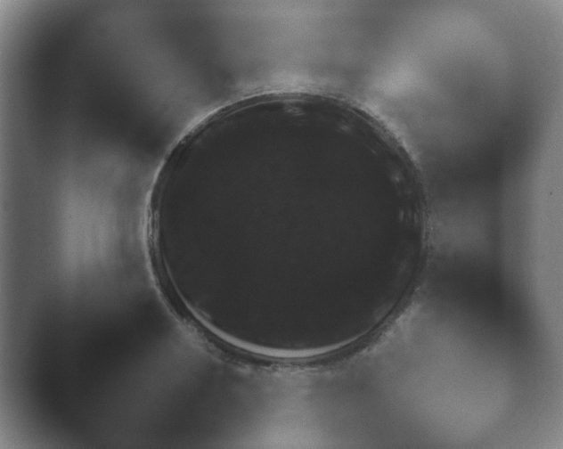 X0000040661034200411092005.png