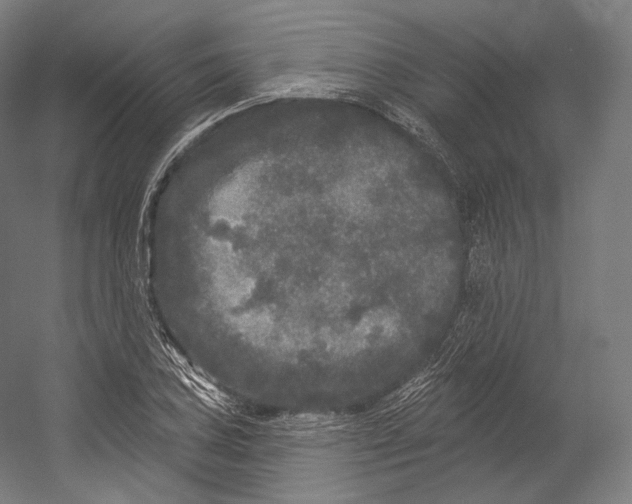 X0000055211027200508301316.png