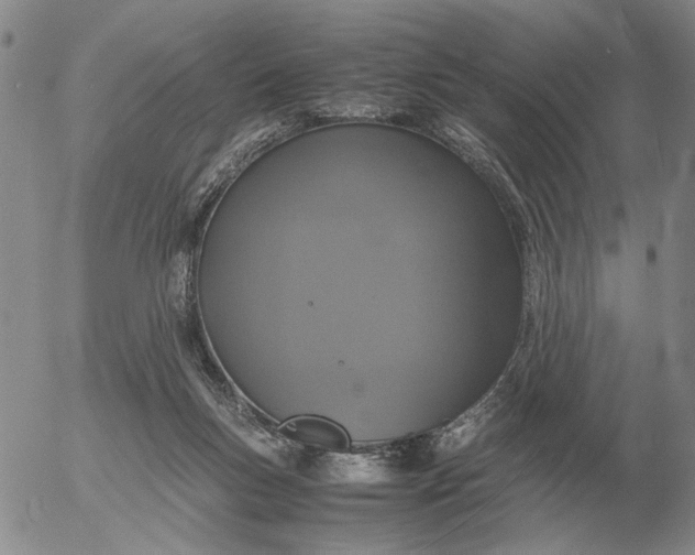 X0000054170167200508101809.png