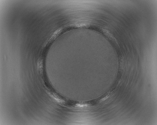 X0000054350260200508190136.png