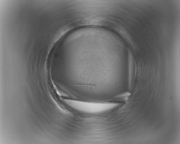 X0000054300674200508042311.png