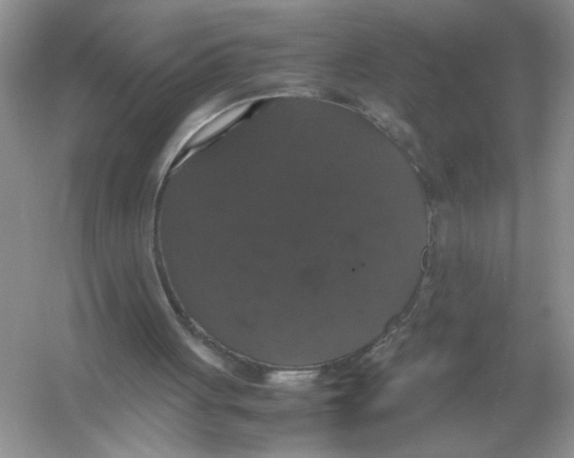 X0000054350051200508190139.png