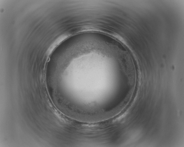 X0000054651145200508091635.png