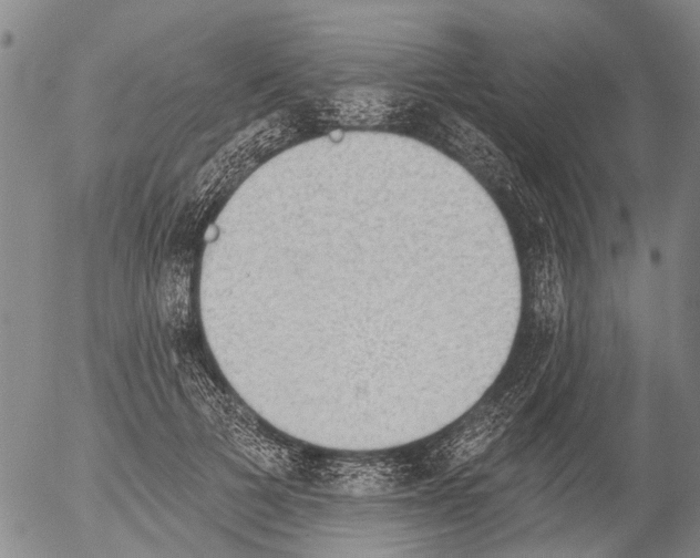 X0000054580697200508300101.png