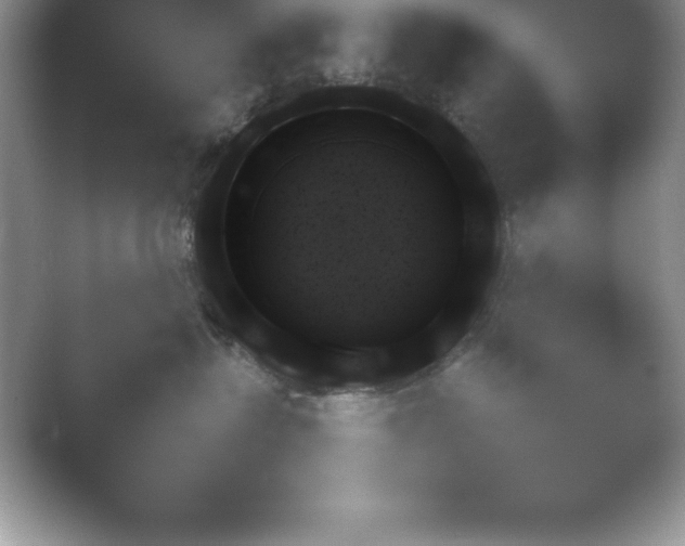 X0000054730575200508171855.png