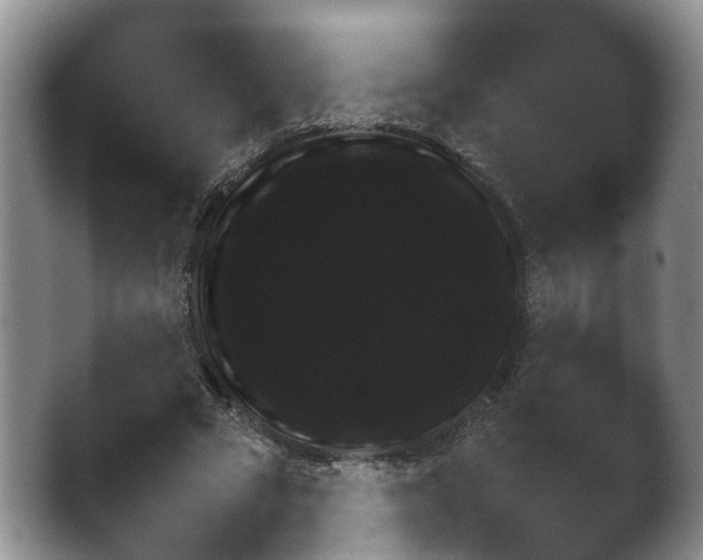 X0000038680681200409281323.png