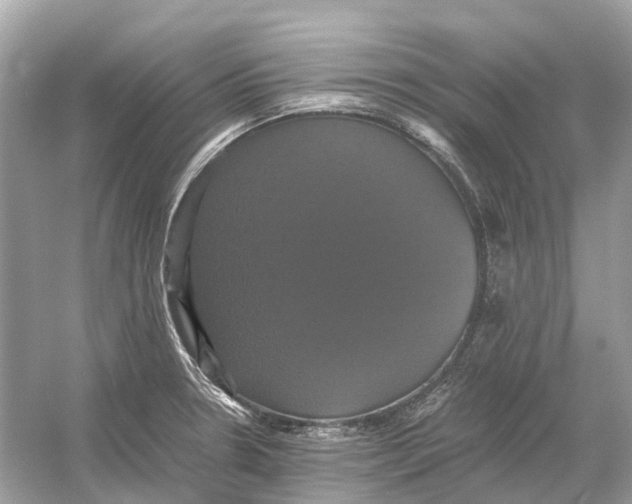 X0000054351330200508190118.png