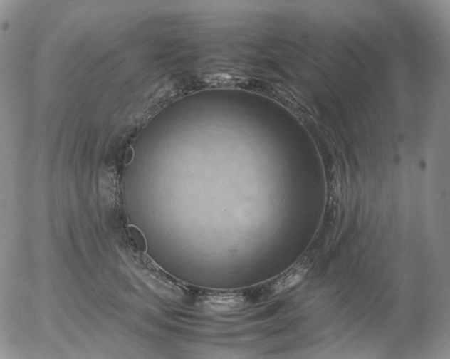 X0000054650659200508091643.png