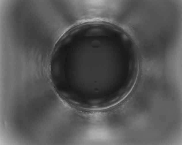 X0000054731193200508171844.png