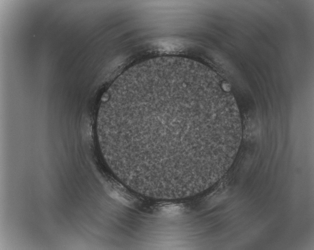 X0000053460456200508112202.png