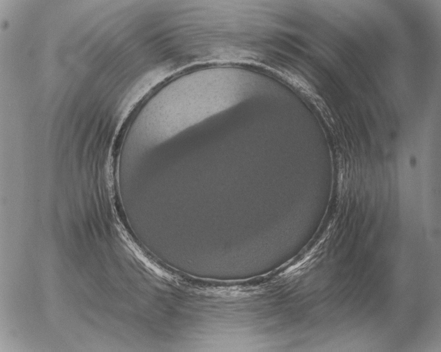 X0000054170990200508101755.png