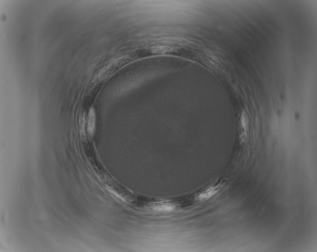 X0000054170219200508101808.png
