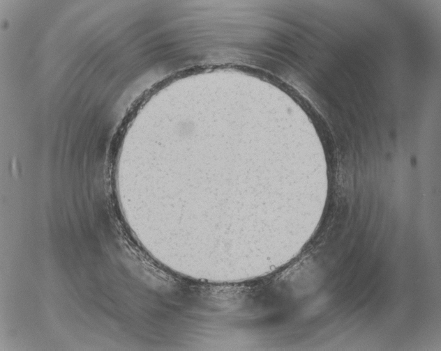X0000054650832200508091639.png