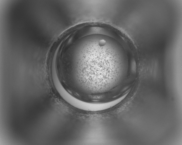 X0000052450927200507211310.png