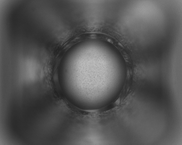 X0000048530138200503171520.png