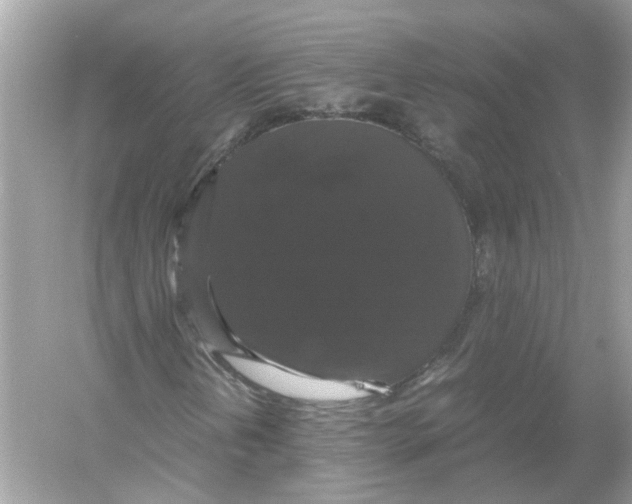X0000054351202200508190119.png