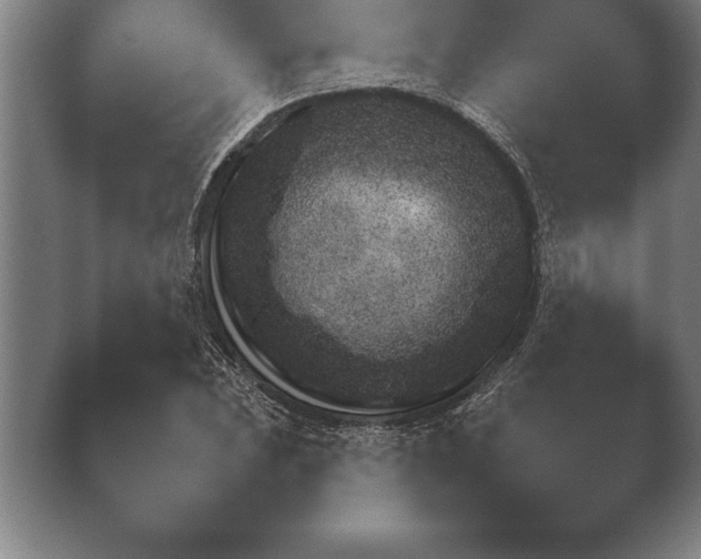 X0000038921023200409291000.png