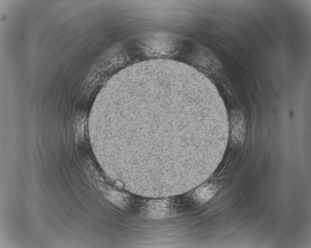 X0000054580574200508300104.png