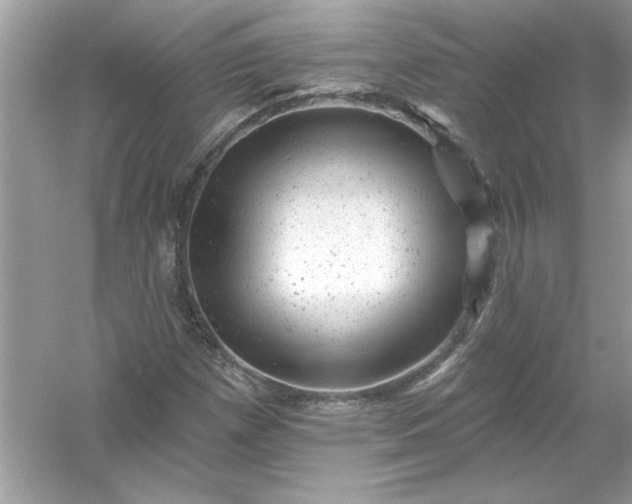 X0000054301257200508042301.png